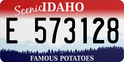 ID license plate E573128