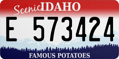 ID license plate E573424