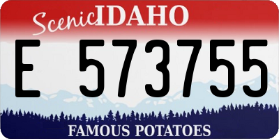 ID license plate E573755