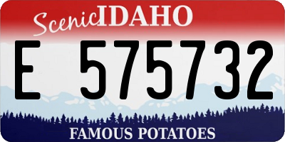 ID license plate E575732