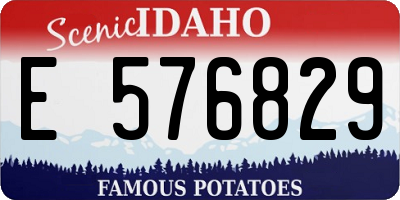 ID license plate E576829
