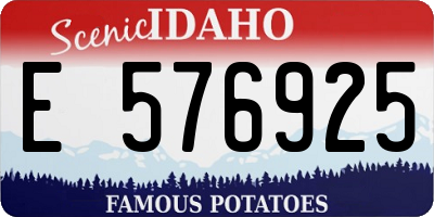 ID license plate E576925