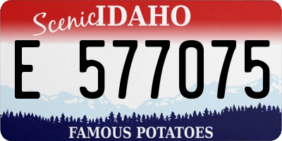 ID license plate E577075