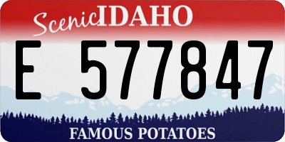 ID license plate E577847