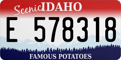 ID license plate E578318