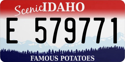 ID license plate E579771