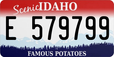 ID license plate E579799