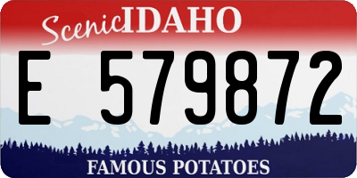 ID license plate E579872
