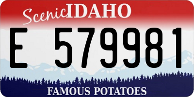 ID license plate E579981