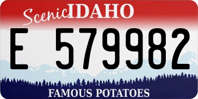 ID license plate E579982