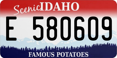 ID license plate E580609