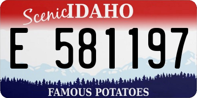 ID license plate E581197