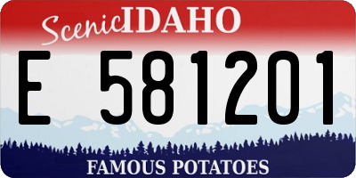 ID license plate E581201