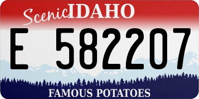 ID license plate E582207