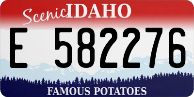 ID license plate E582276