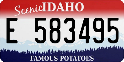 ID license plate E583495