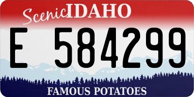 ID license plate E584299