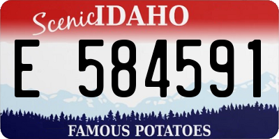 ID license plate E584591