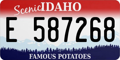 ID license plate E587268