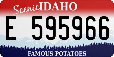 ID license plate E595966