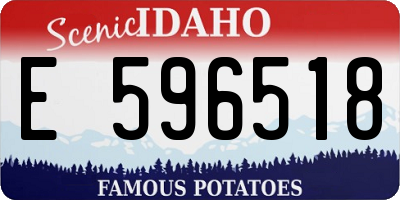 ID license plate E596518