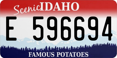 ID license plate E596694