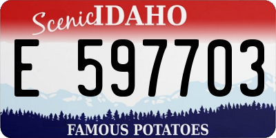 ID license plate E597703