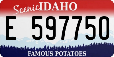 ID license plate E597750