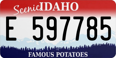 ID license plate E597785