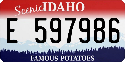 ID license plate E597986