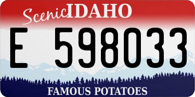 ID license plate E598033