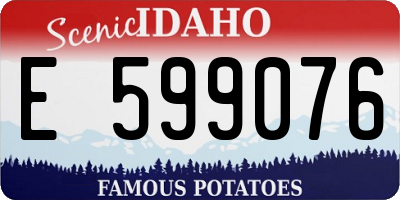 ID license plate E599076