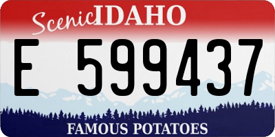 ID license plate E599437