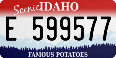 ID license plate E599577