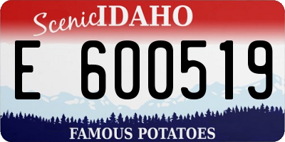 ID license plate E600519