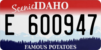 ID license plate E600947