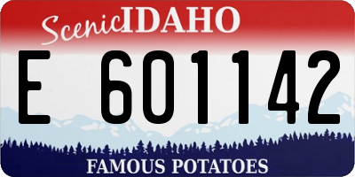 ID license plate E601142