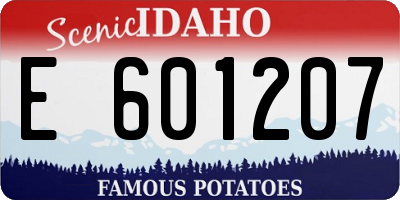 ID license plate E601207