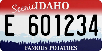 ID license plate E601234
