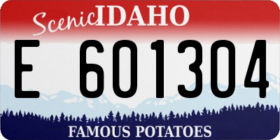 ID license plate E601304