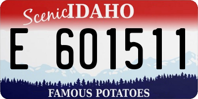 ID license plate E601511