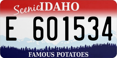 ID license plate E601534