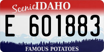 ID license plate E601883