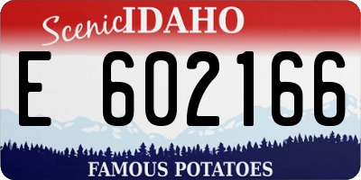 ID license plate E602166