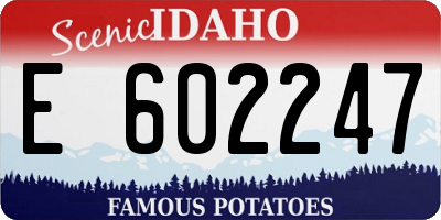 ID license plate E602247