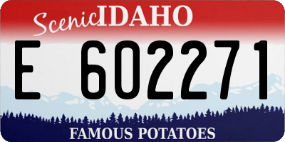 ID license plate E602271
