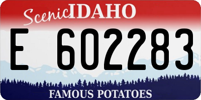ID license plate E602283