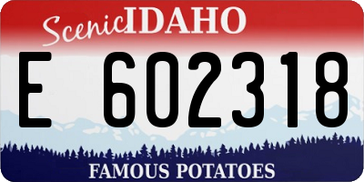 ID license plate E602318