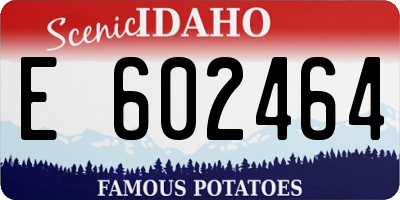 ID license plate E602464