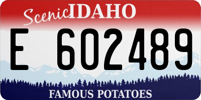 ID license plate E602489